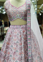 Pink Multi-Color Lehenga Choli