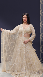 Premium Lehenga Choli