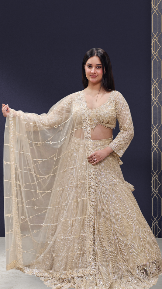 Premium Lehenga Choli