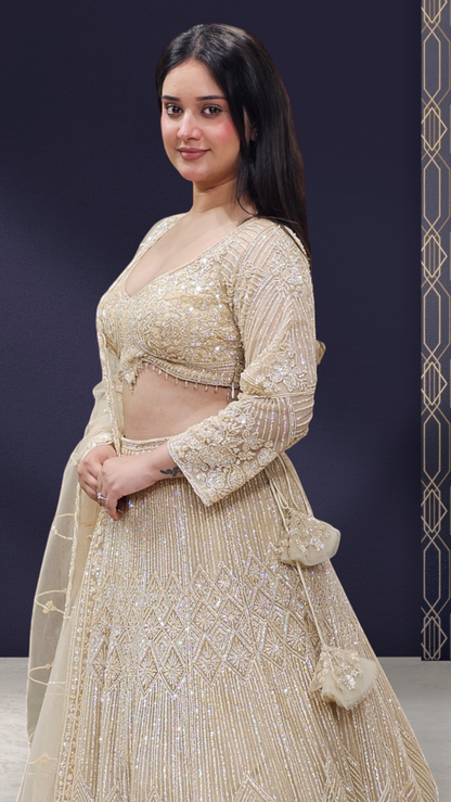 Premium Lehenga Choli