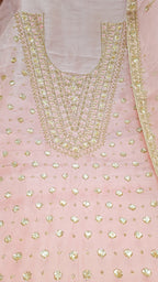 Blush Noor Designer Suit – Saluja Store