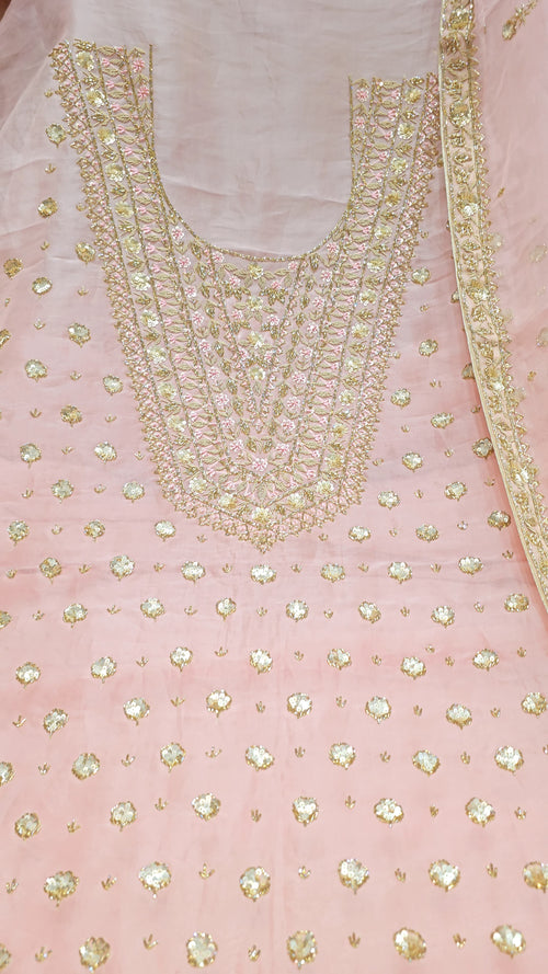 Blush Noor Designer Suit – Saluja Store