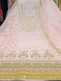 Blush Noor Designer Suit – Saluja Store