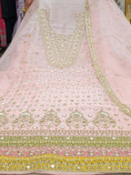 Blush Noor Designer Suit – Saluja Store