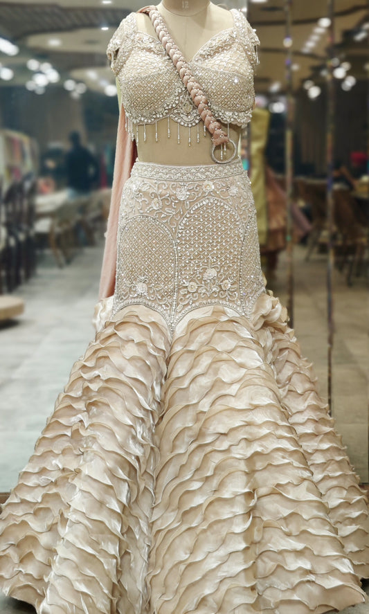 Blush Curve Peach Pink Fish Cut Lehenga Choli